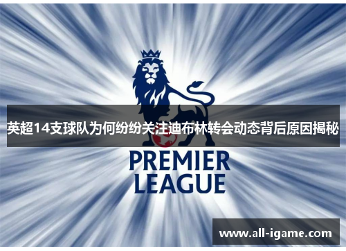 英超14支球队为何纷纷关注迪布林转会动态背后原因揭秘