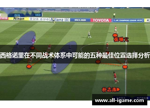 西格诺里在不同战术体系中可能的五种最佳位置选择分析